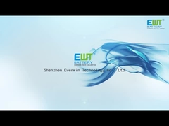 Primart-Lithiumbatterien