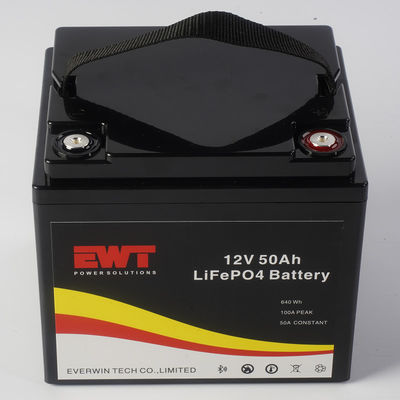 kaufen ABS-Gehäuse LiFePO4 12V 50Ah Lithium-Eisenphosphat-Batteriemodule für industrielle Anwendungen Online-Herstellung