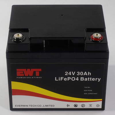 Lithium-Eisenphosphat 24V LiFePO4-Batterie überlegene Leistung für jedes Klima und jede Temperatur