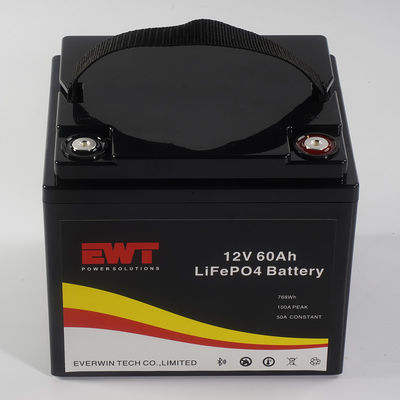 Benutzerdefiniertes Logo 12V 60AH LiFePo4 Batterie Speicherbox Metallkoffer für LED-Licht 4000 Arbeitszyklen